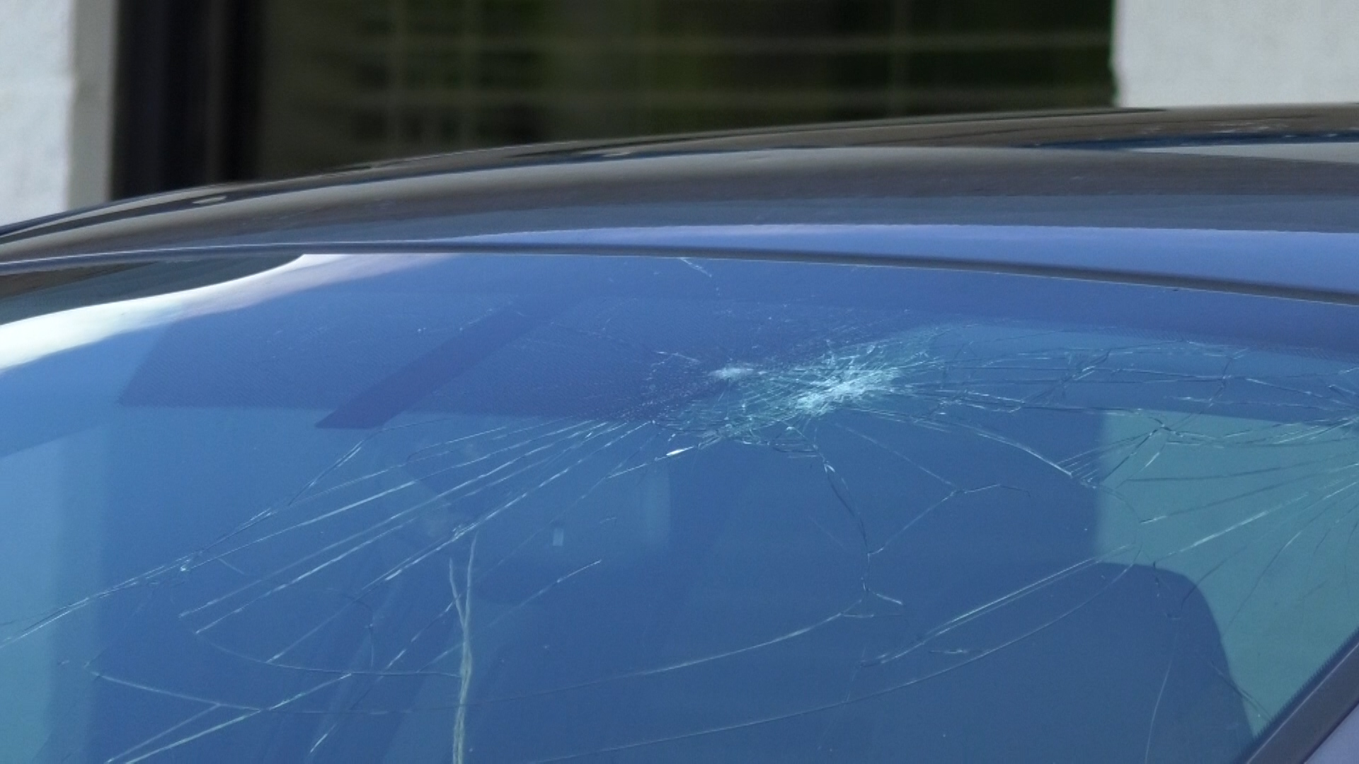 Large hail damage has two companies busy with claims