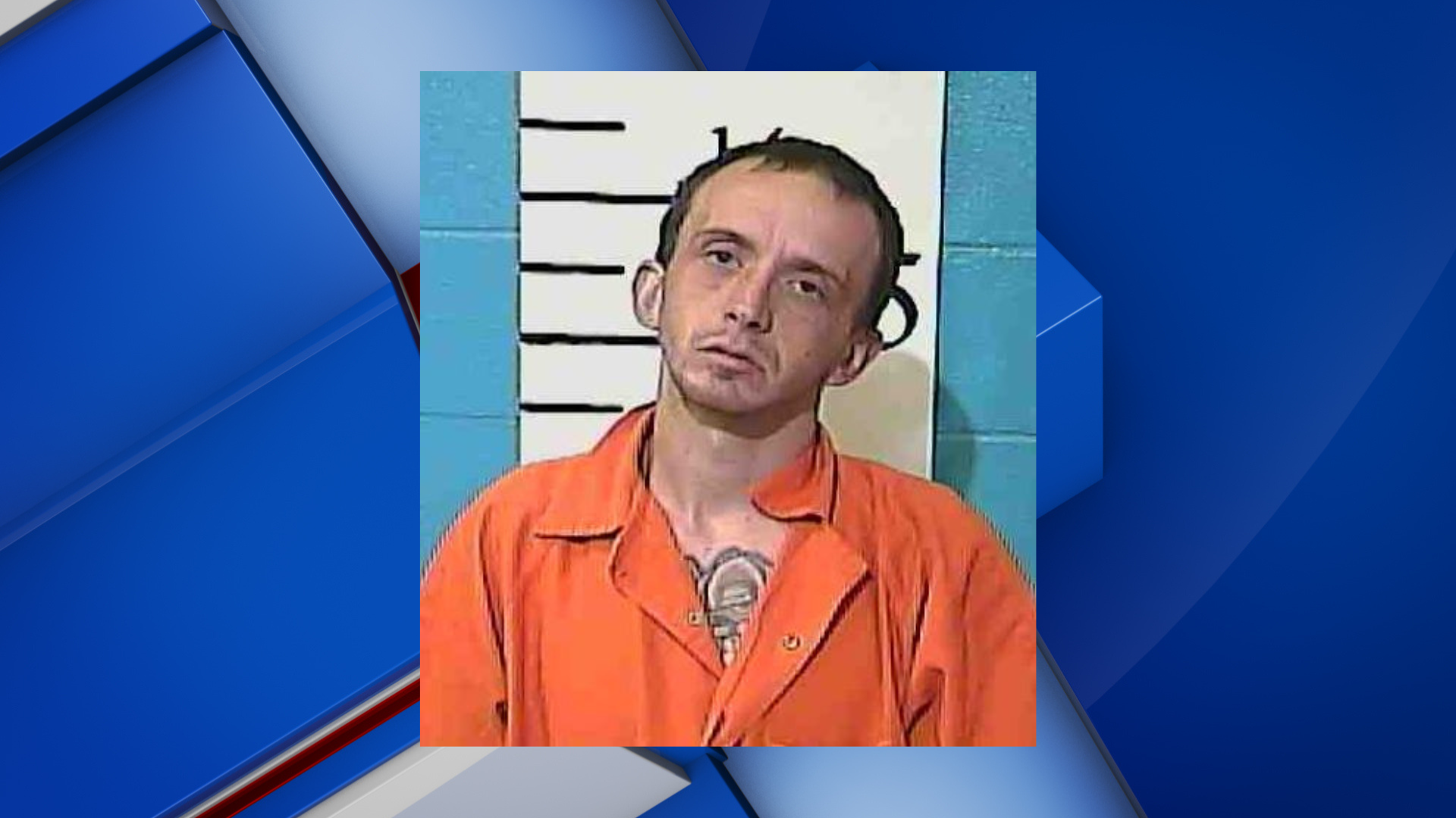 Driver reportedly admits having drugs in car at traffic stop in Carrollton - Vimarsana News