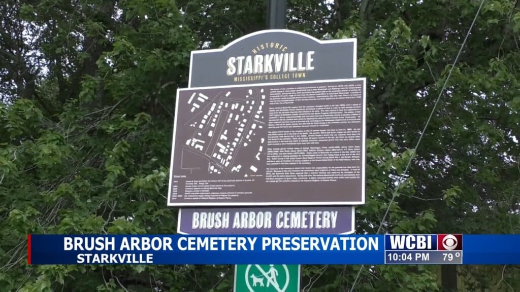 College Students Nationwide Support A Mission To Preserve The Historic Brush Arbor Cemetery In Starkville