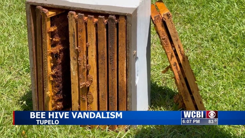 Lee County Man Asks For Public's Help To Find Suspected Beehive Vandal