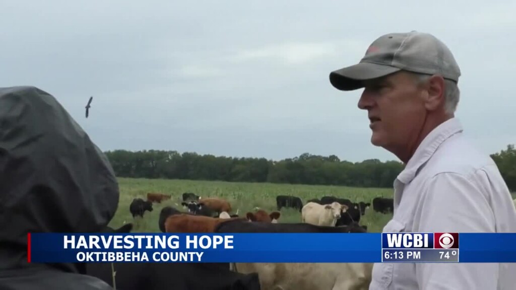 Local farmers harvest hope for more sustainable future