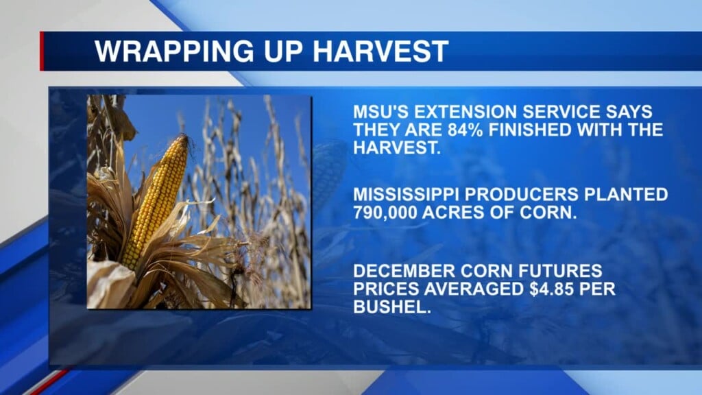Favorable Mississippi Weather Helps Kick Off Harvest
