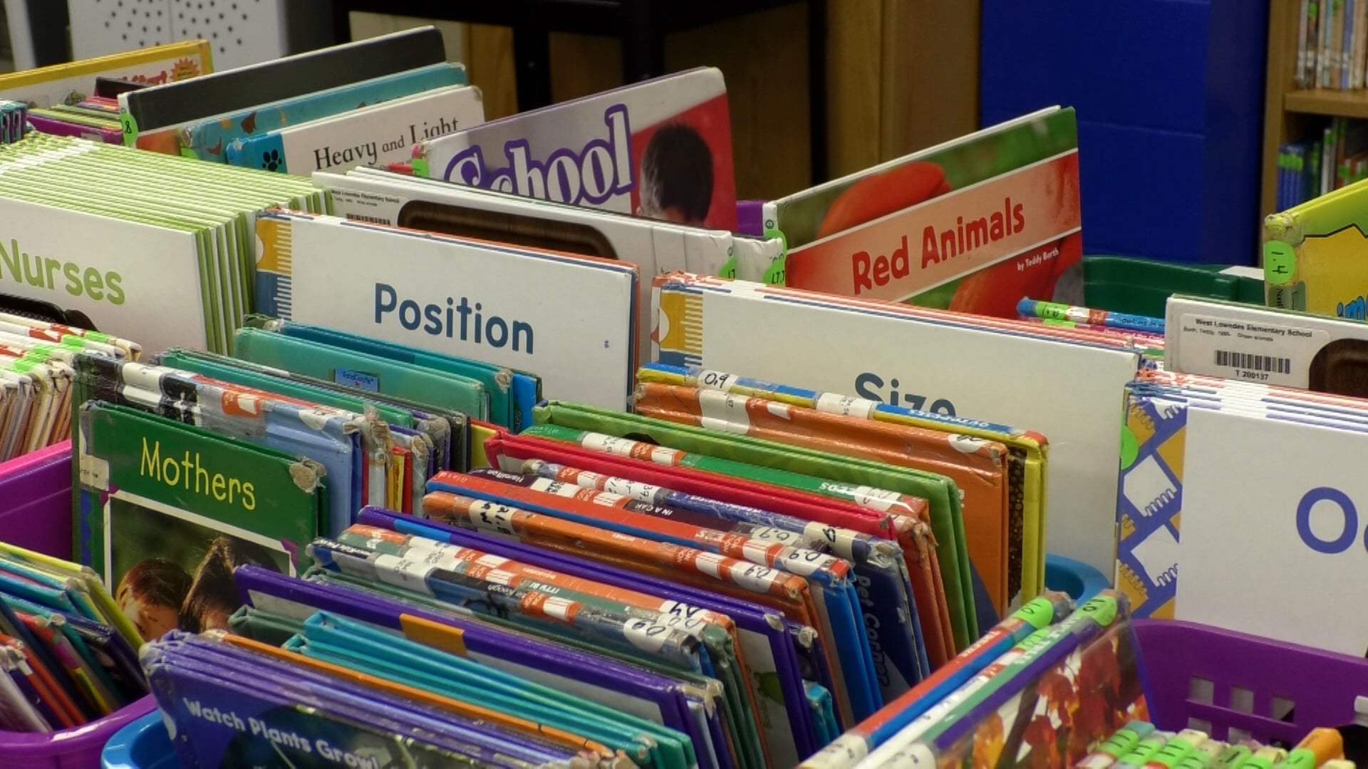 Mississippi reading scores make progress over last decade - Vimarsana News