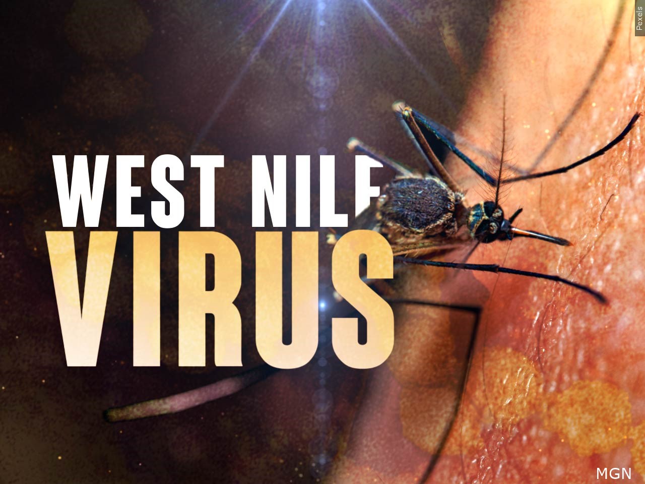 West Nile Virus update: Low infection rates in WCBI viewing area - Vimarsana News