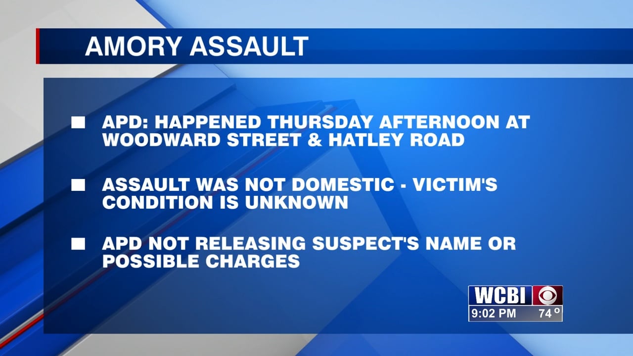 Amory man in custody after woman is allegedly assaulted - Vimarsana News