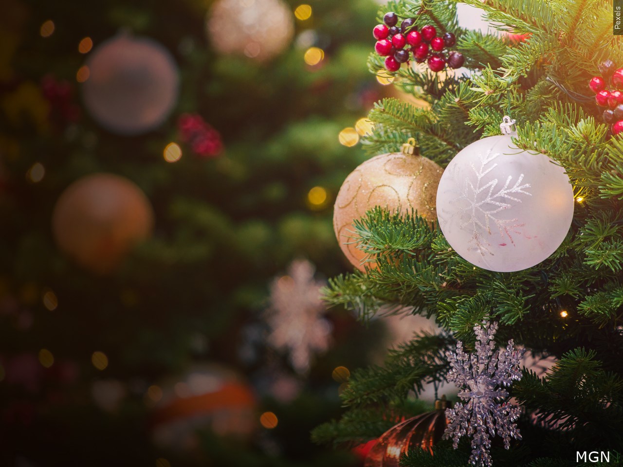 Columbus city officials approve purchase of artificial Christmas tree - Vimarsana News