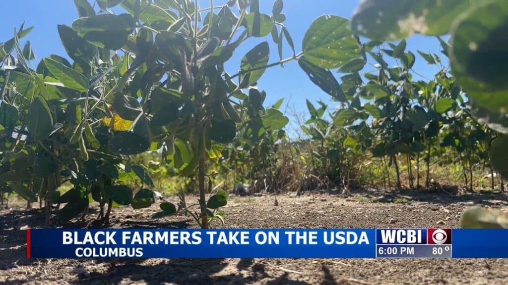 Black Farmers, Landowners Meet To Sign Petition Headed To Congress