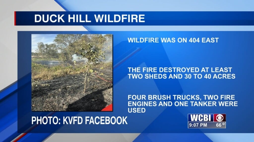 S Duckhill Wildfire Gfx