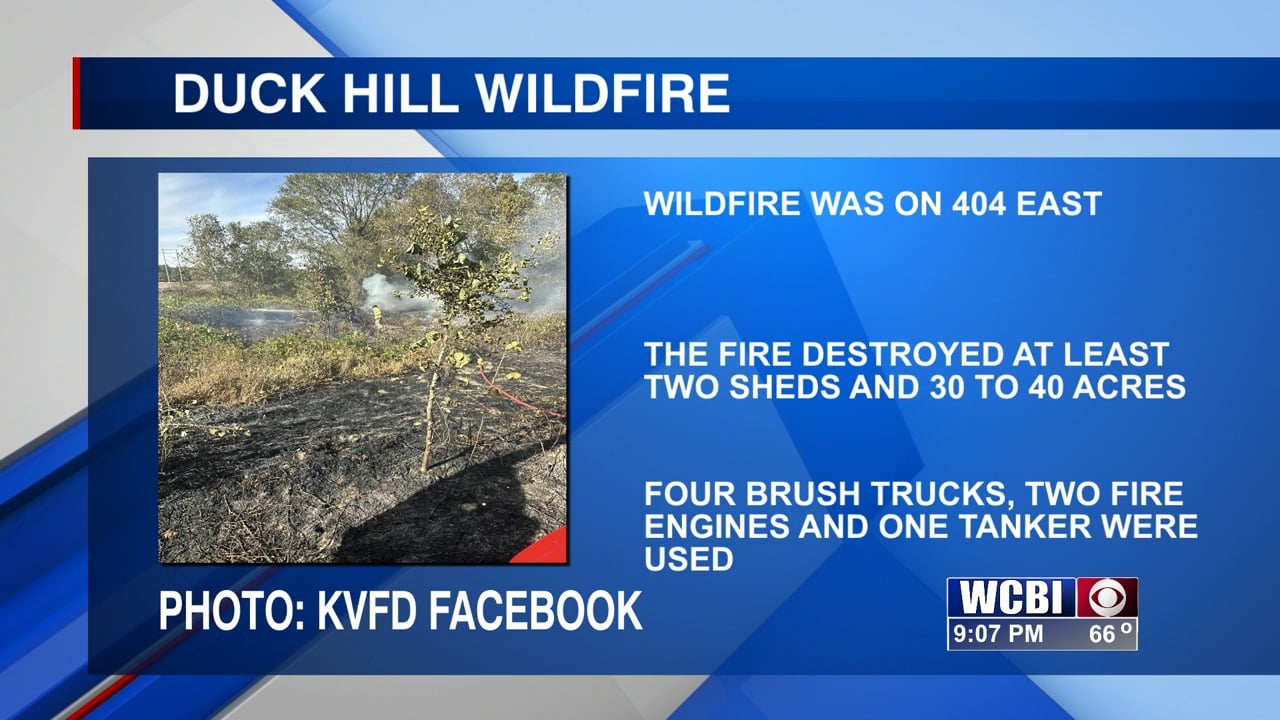Duck Hill wildfire destroys around 30 acres of land - Vimarsana News