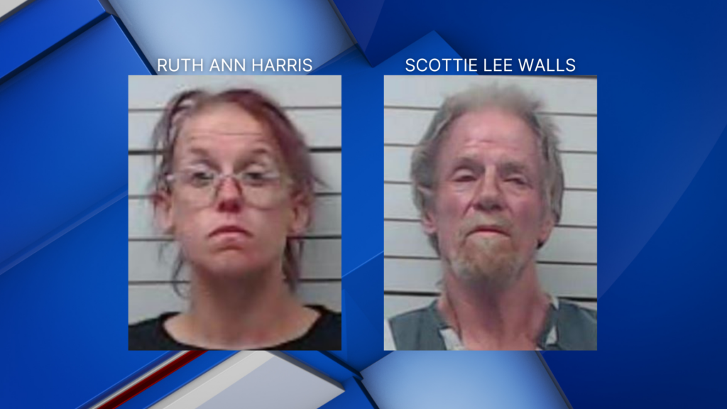 Lee County traffic stop leads to 2 arrests on drug-related charges