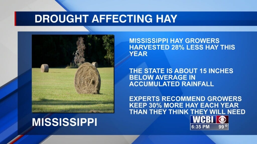Prolonged Drought Affects Mississippi Hay Farmers