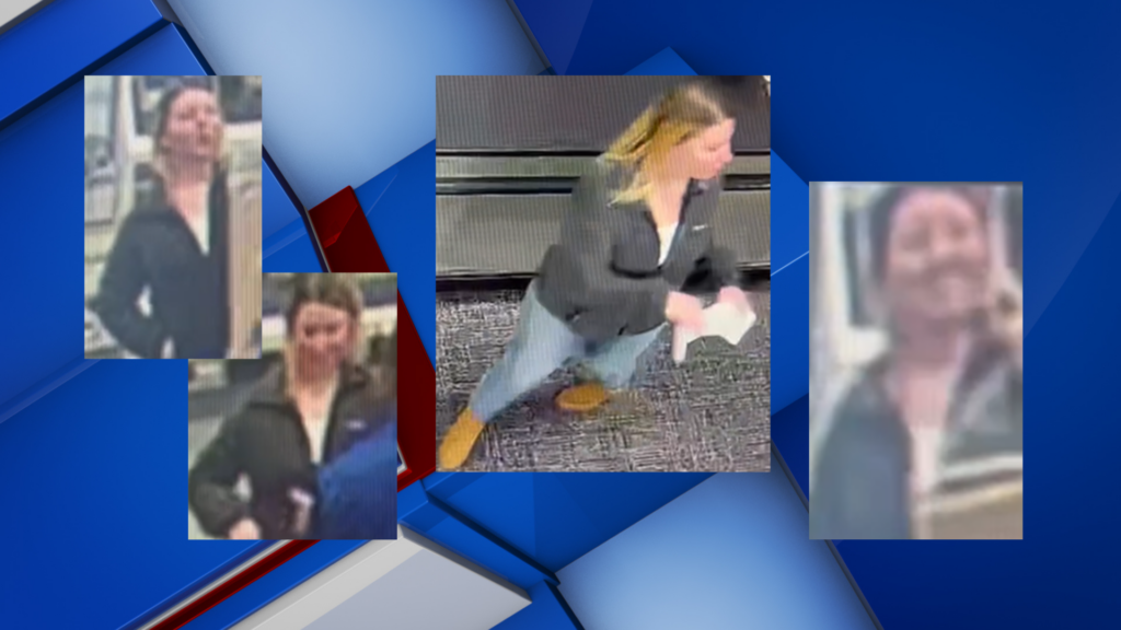 Tupelo police need help to identify woman accused of credit card fraud