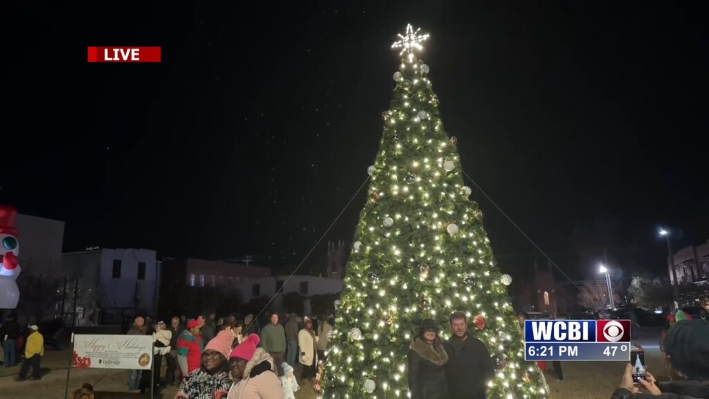 Christmas Tree Lighting: Downtown Columbus Christmas Tree Is Aglow