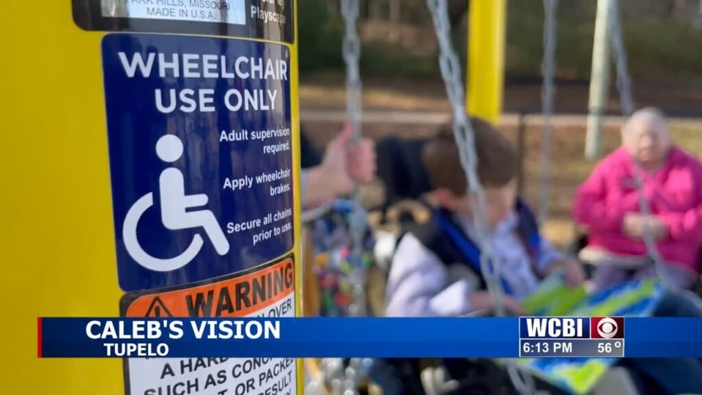 Tupelo dedicates new wheelchair swings at Veterans Park