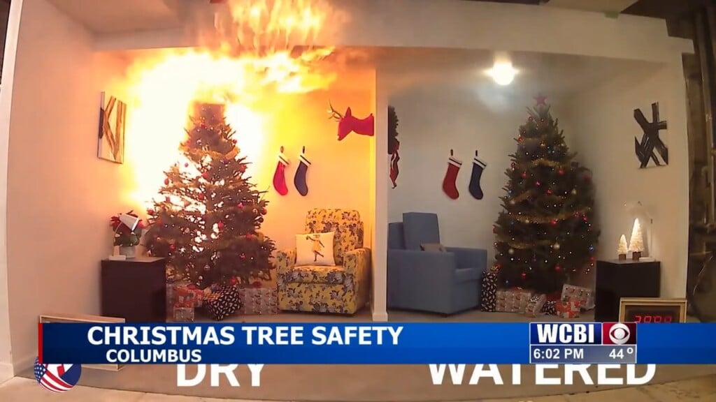 Crucial Christmas Safety Tips: Keeping Trees Safe From Fire
