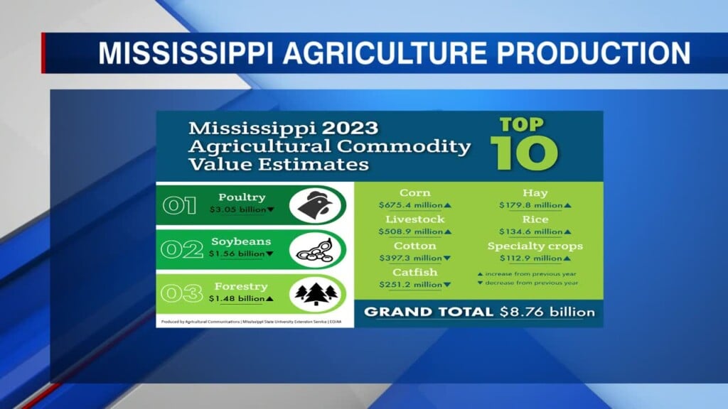 Mississippi Agriculture’s Post Its Second Highest Result On Record