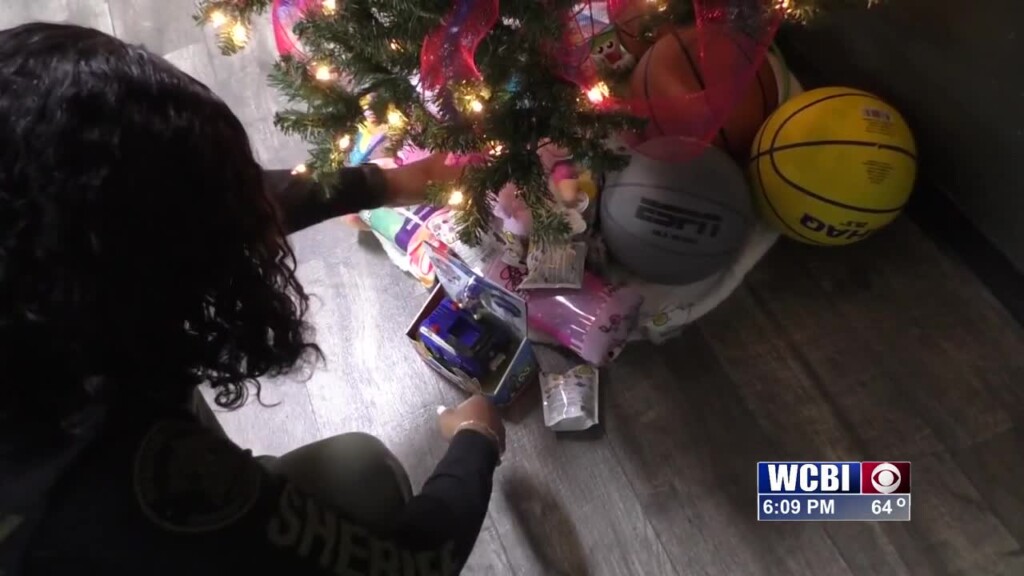 Local Sheriff's Offices Spread Holiday Spirit With Toy Drives