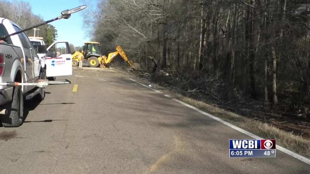 Two Vehicles Hit Fallen Tree In Lowndes County