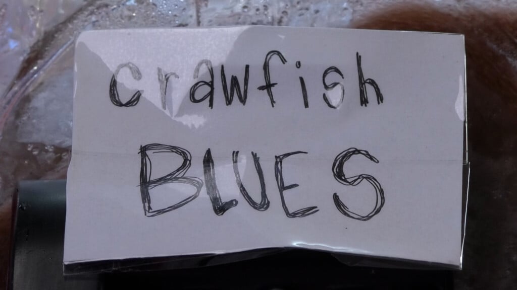 Crawfish crisis: Drought dries up crawfish farming, prices rise