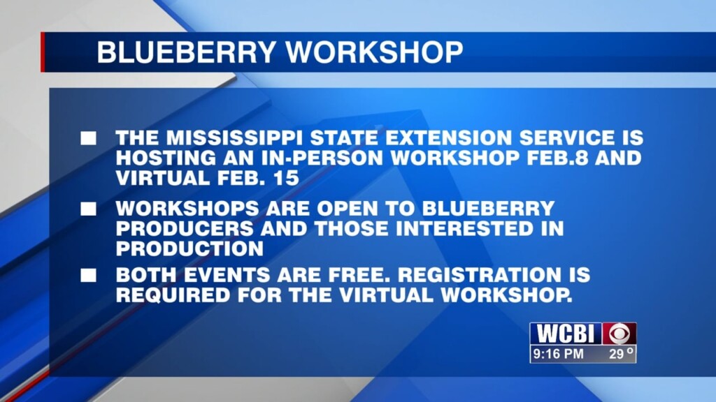 Msu Extension Service Will Host Blueberry Workshop