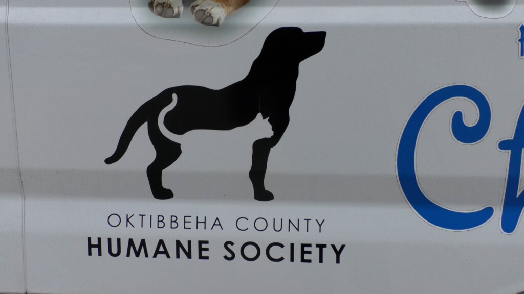 Oktibbeha County Humane Society shares cold weather safety tips
