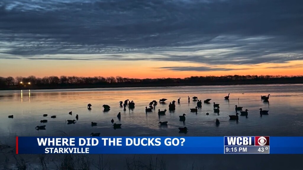 Dry Duck Season Leaves Many Hunters Hopeful For Next Season