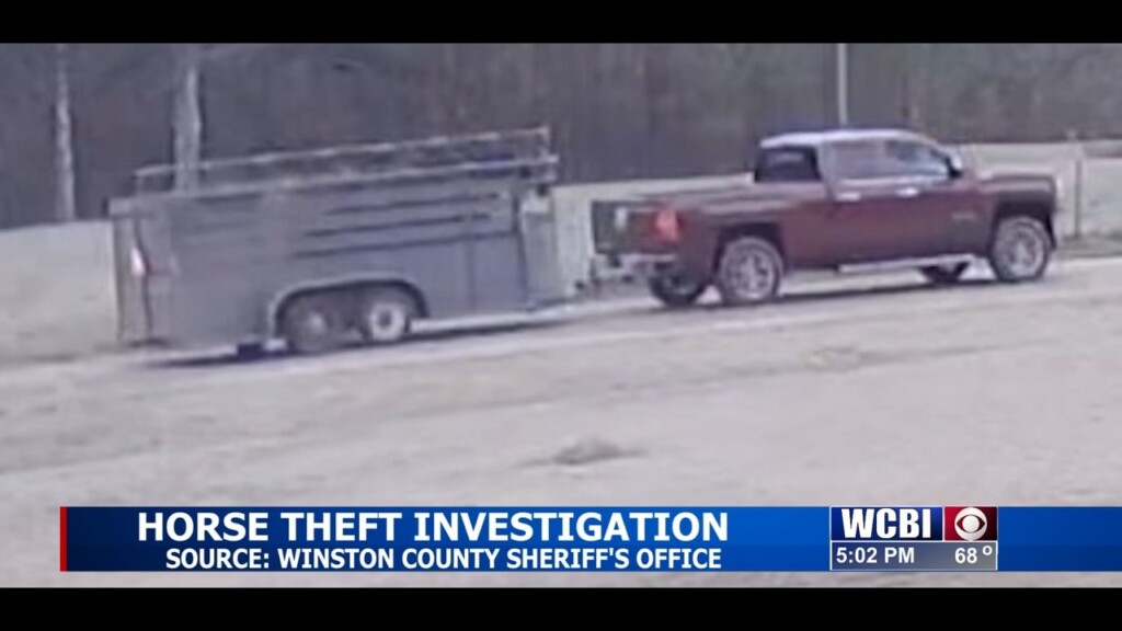 Winston County Deputies Search For Suspected Horse Thieves