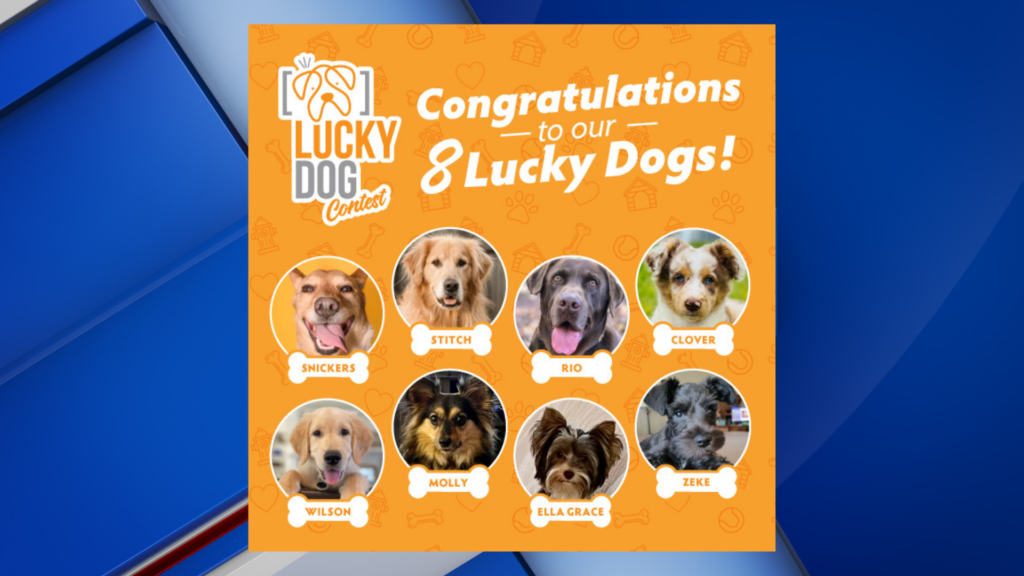 Meet the Top 8 Lucky Dog Promo Winners