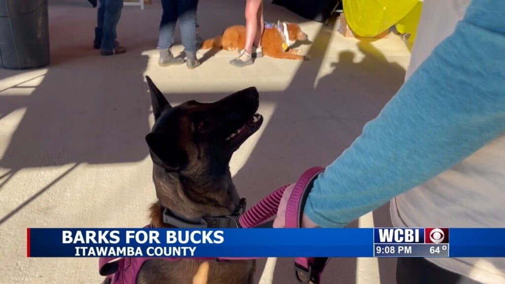 Itawamba County Animal Shelter Hosts 'bark For Bucks'