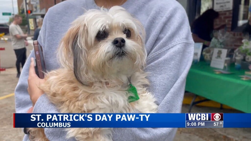 Columbus Lowndes Humane Society Celebrates St. Patrick's Day