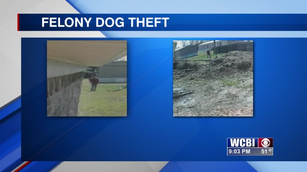 Officials Search For Individuals In Connection To Felony Dog Theft