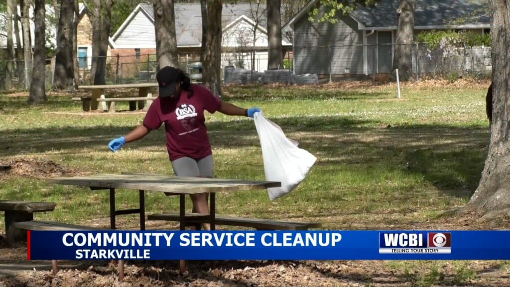 Msu Students Does Community Service Cleanup