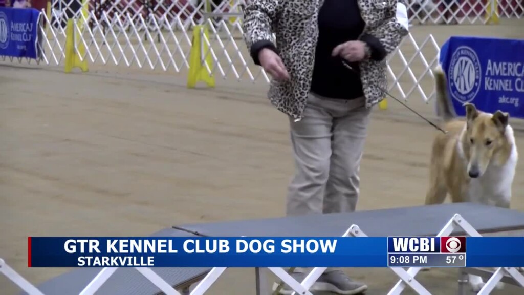 Local Dog Show Brings Dogs From Across The State To Starkville