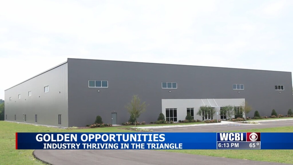 Golden Opportunities: Thriving In The Triangle