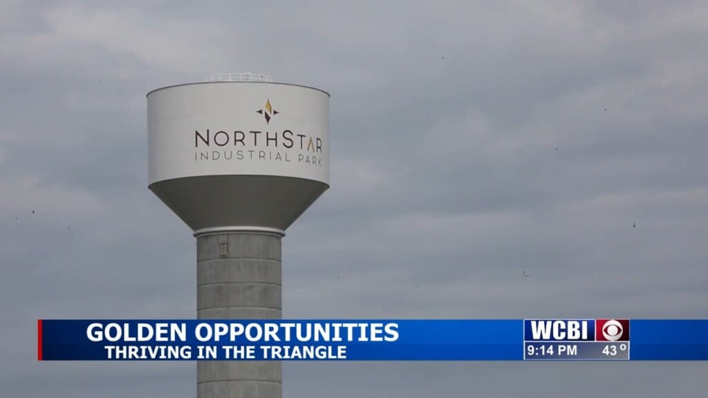 Golden Opportunities: Thriving In The Triangle (part 2) 03/18/2024
