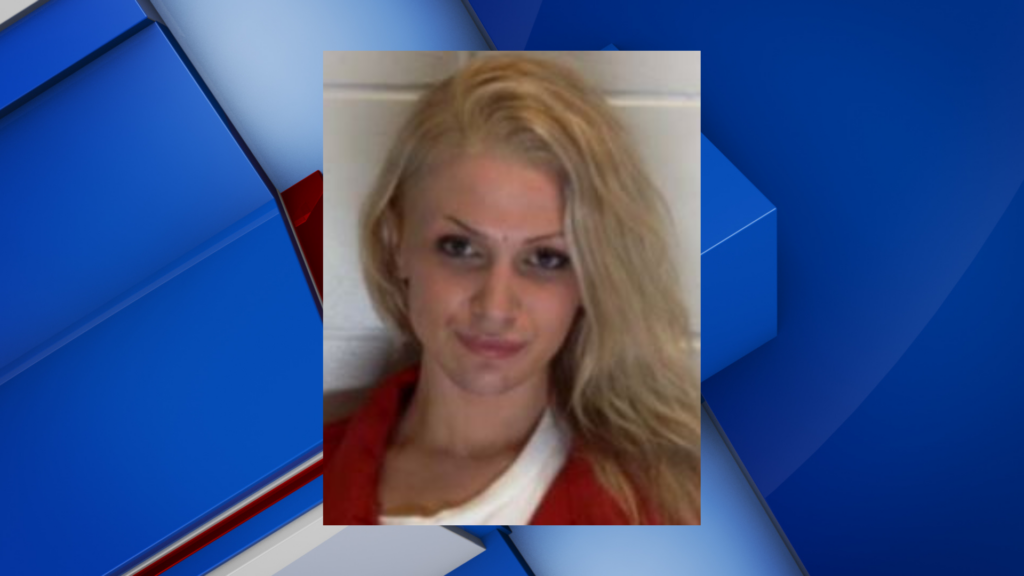 Caledonia woman faces charge after allegedly hitting man with car