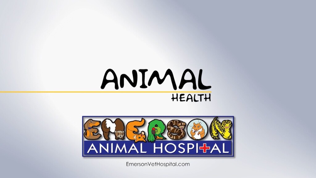 Animal Health (herbie) 04/25/24
