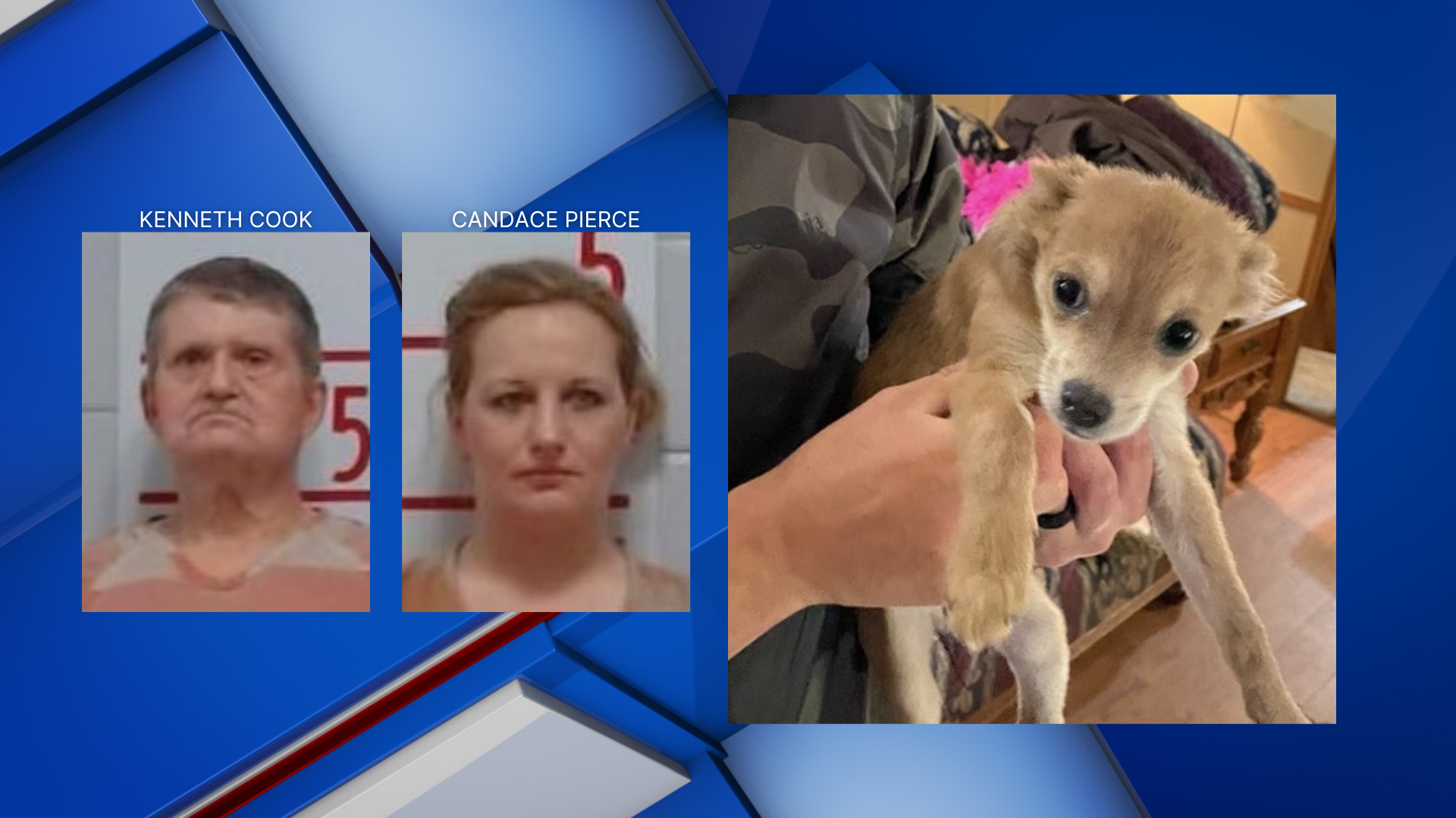 Itawamba County deputies save dog with Narcan - Vimarsana News