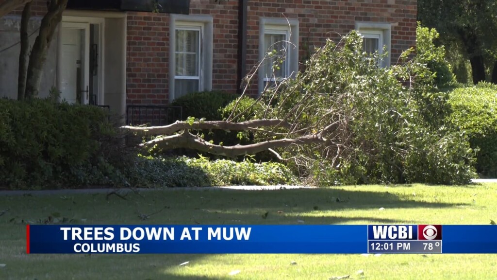 Fallen Trees, Limbs Lay Across Muw Campus After Storm