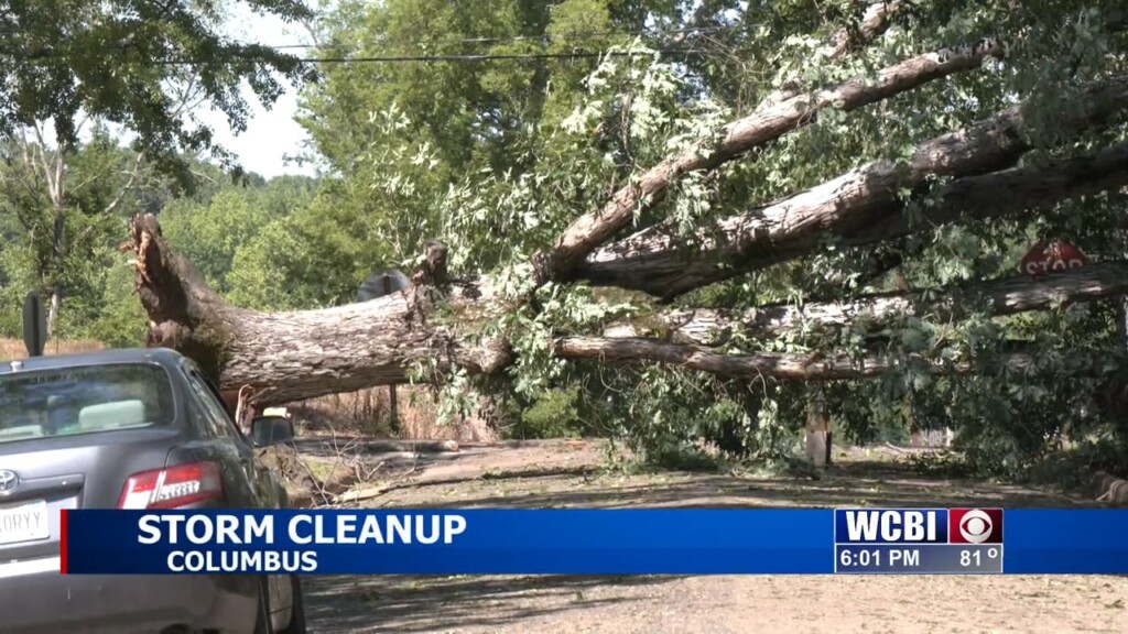 Dozens Of Crews Help Clean Up Columbus After Storm