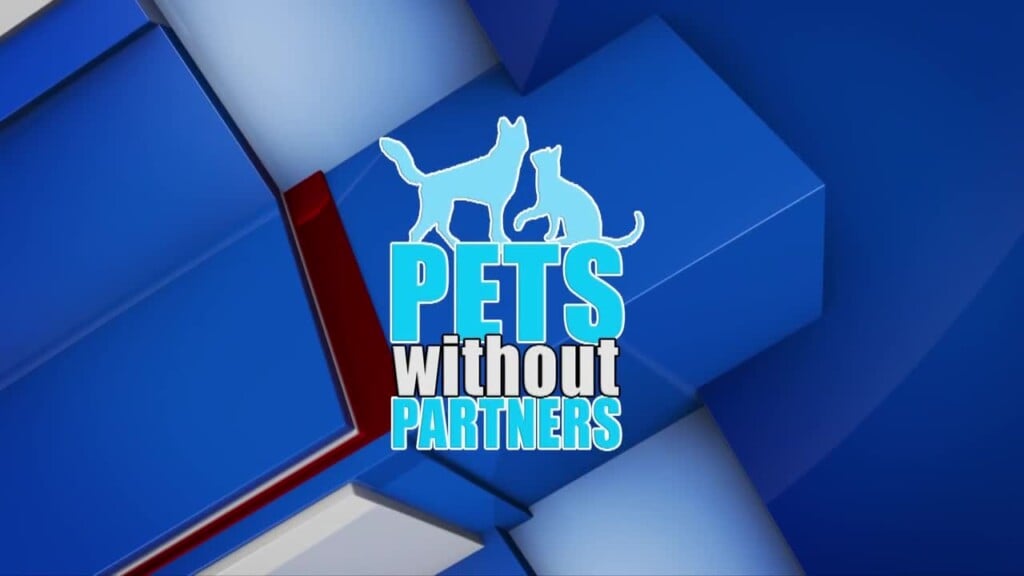 Pets Without Partners 05/24/24