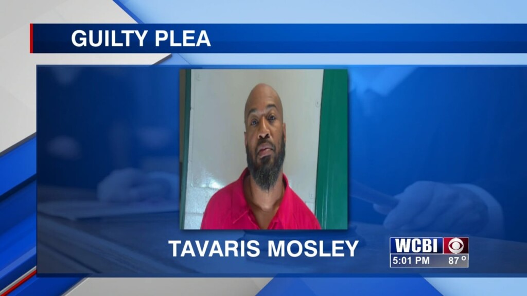 Man Accused Of Deadly Crash In Lowndes County Pleads Guilty