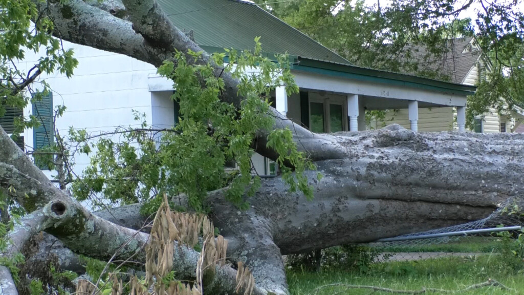 Storm damage victims work to fix up their property
