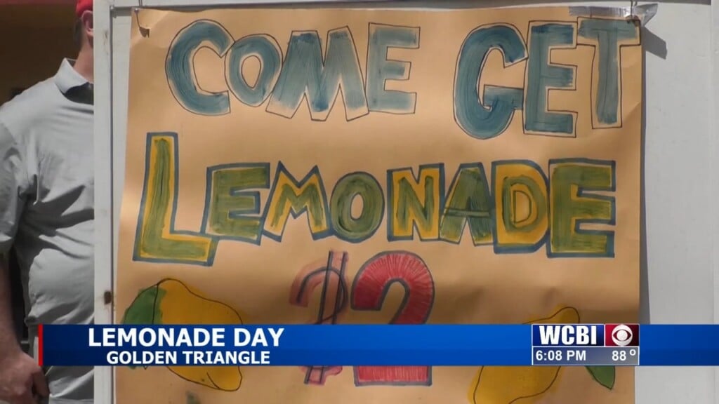 Kids Give Back Through Golden Triangle Lemonade Day