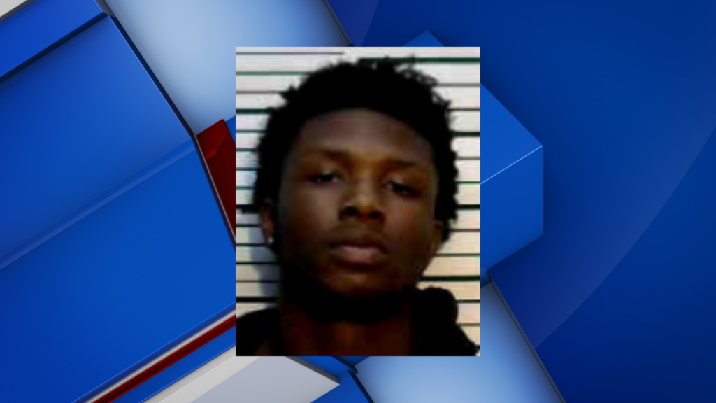 Aberdeen teen arrested for reportedly fleeing Amory police