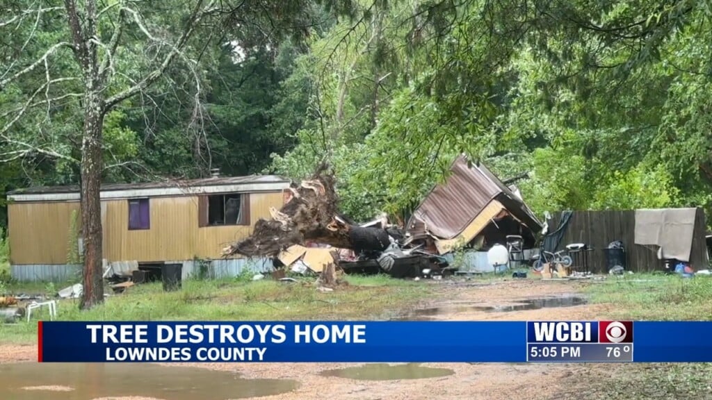 Tree Destroys Home In Lowndes County After Storm Rolls Through