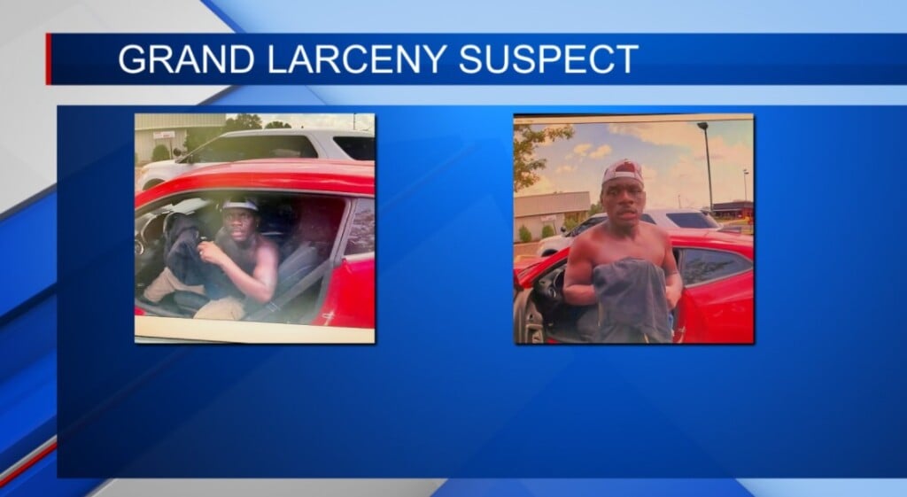 Grand Larceny Suspect