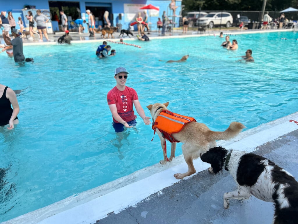 SU DOG PADDLE PIC 090824