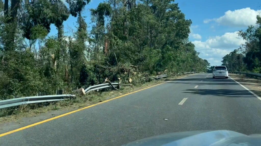 Highway reopened after trees and debris covered lanes in Florida