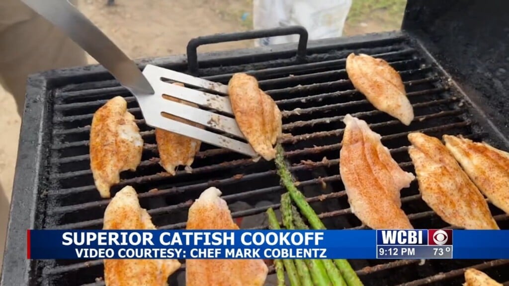 Superior Catfish Of Macon Hosts First Ever Catfish Cookoff